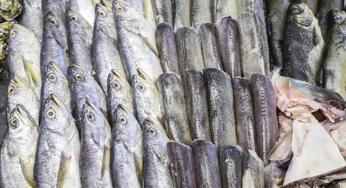 Festival do Pescado: Mercado Municipal de Curitiba tem ofertas nos preços de peixes e frutos do mar