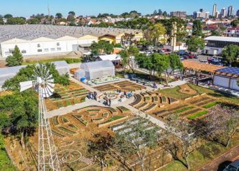 Fazenda Urbana de Curitiba terá piquenique com a Família Folhas neste sábado