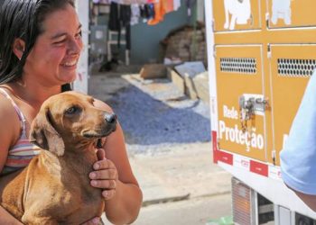 Curitiba abre agendamentos para primeiro mutirão de castração de animais do ano