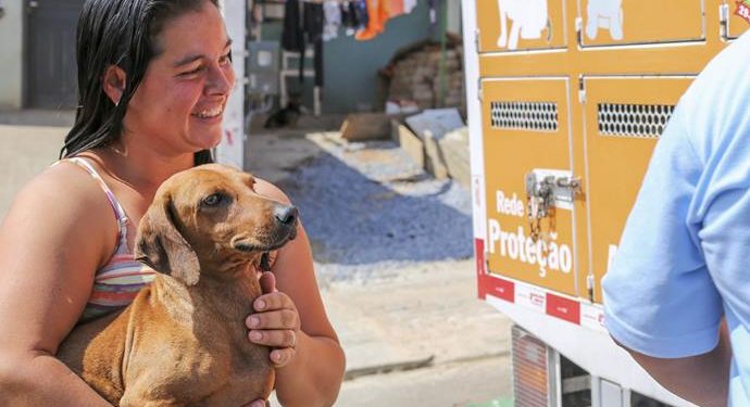 Curitiba abre agendamentos para primeiro mutirão de castração de animais do ano