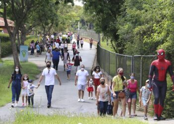 Zoológico de Curitiba reabre neste sábado com interdições