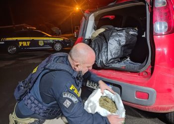 Durante final de semana, PRF apreende 1,5 tonelada de maconha, 600 mil maços de cigarros e armas de fogo no Paraná