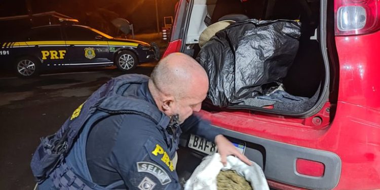 Durante final de semana, PRF apreende 1,5 tonelada de maconha, 600 mil maços de cigarros e armas de fogo no Paraná