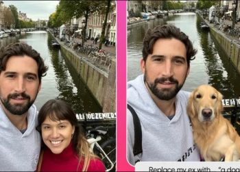 Terminou o namoro e gosta da foto? Aplicativo troca imagem de ex por qualquer animal ou objeto