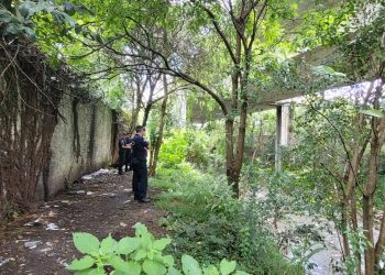 Corpo é encontrado embaixo do viaduto do Colorado em Curitiba