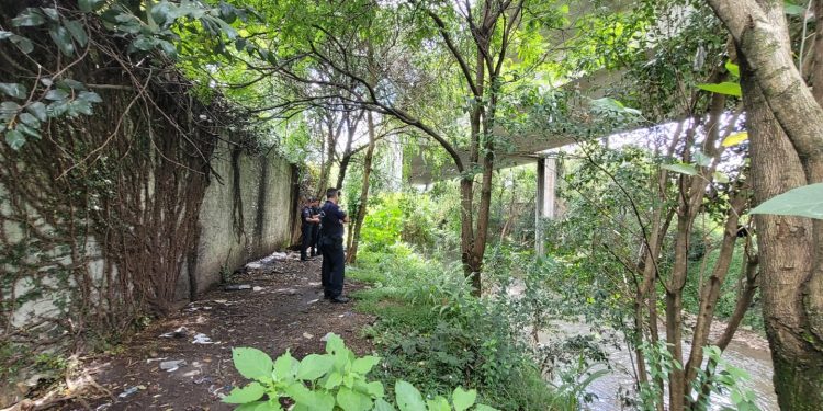 Corpo é encontrado embaixo do viaduto do Colorado em Curitiba