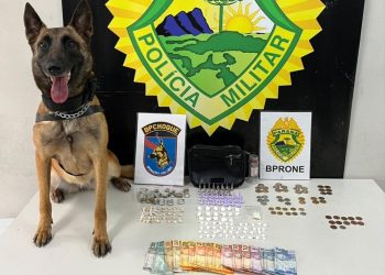 Com auxílio do cão Beretta, policiais de RONE encontram drogas e detém dupla em Curitiba