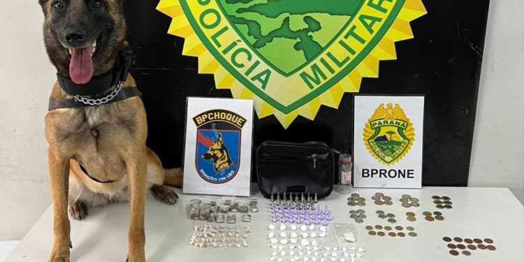 Com auxílio do cão Beretta, policiais de RONE encontram drogas e detém dupla em Curitiba