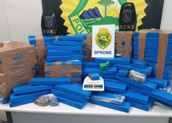 RONE apreende 155 quilos de maconha no Alto Boqueirão em Curitiba