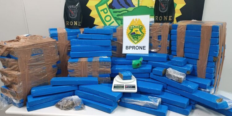 RONE apreende 155 quilos de maconha no Alto Boqueirão em Curitiba