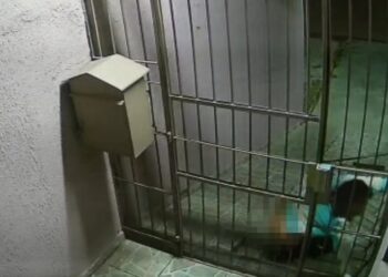 Inacreditável! Enquanto urina em frente a condomínio, mulher tenta invadir o local em Curitiba, veja o vídeo