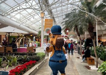 Shopping promove o Estação Azul, um circuito de diversão para crianças com transtorno do espectro autista