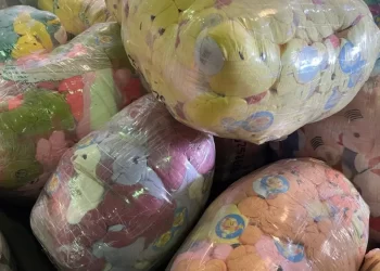 Receita Federal apreende mais de uma tonelada de pelúcias que seriam usadas em máquinas de pegar brinquedos