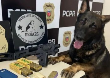 Polícia Civil do Paraná deflagra Operanção Uno