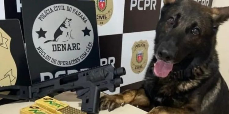 Polícia Civil do Paraná deflagra Operanção Uno