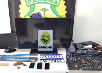 RONE age rápido e prende ladrões de residência no Jardim Botânico