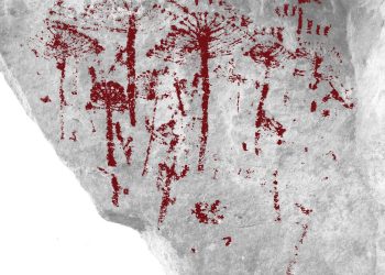 Grupo descobre registro rupestre inédito de araucárias no Paraná