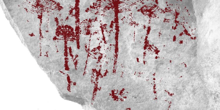 Grupo descobre registro rupestre inédito de araucárias no Paraná