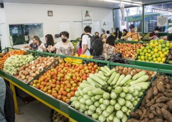 Nos Sacolões da Família, maçã, tomate e cenoura saem por R$ 3,69 o quilo
