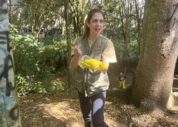 Meio Ambiente aplica larvicidas para diminuir incidência de borrachudos em Curitiba