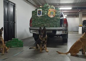 Polícia Federal e equipe K9 do BPCHOQUE realizam apreensão de cocaína em carreta de soja