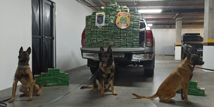 Polícia Federal e equipe K9 do BPCHOQUE realizam apreensão de cocaína em carreta de soja