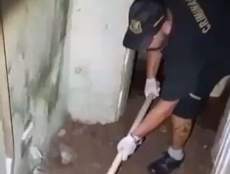 Polícia encontra corpo enterrado em quintal e homem é preso por homicídio e ocultação de cadáver, no Paraná