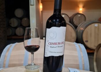 Franco Italiano, de Colombo, é única vinícola do Brasil a conquistar medalha de ouro com vinhos tintos em concurso internacional