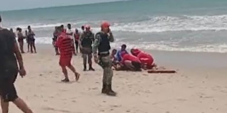 Adolescente fica gravemente ferido ao ser atacado por tubarão; é proibido nadar no local