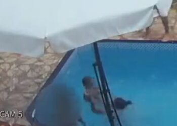 Menino de oito anos salva bebê que estava se afogando em piscina