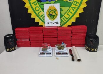 RONE apreende 15 quilos de maconha no Sítio Cercado