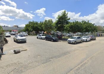 Idoso morre após ser atacado com mais de 2 mil picadas de abelhas