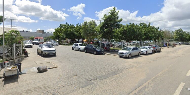 Idoso morre após ser atacado com mais de 2 mil picadas de abelhas