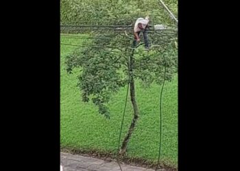 Impressionante! Moradores filmam criminoso pendurado e arrancando fios em Curitiba, veja o vídeo