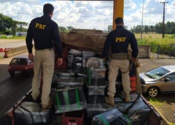 PRF faz a maior apreensão de maconha do Sul do Brasil em 2023