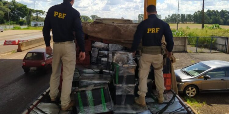 PRF faz a maior apreensão de maconha do Sul do Brasil em 2023