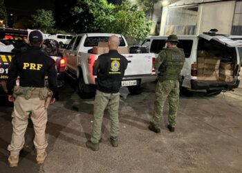 Polícia Militar apreende mais de duas toneladas de camarão contrabandeado