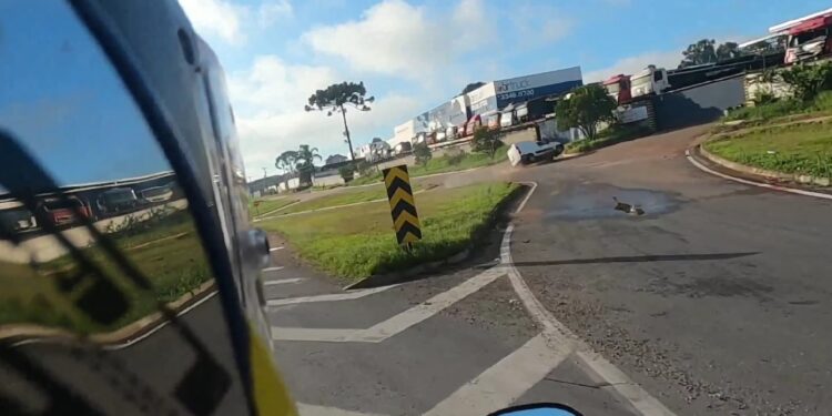 Durante fuga da PRF, adolescente com veículo roubado carregado de cigarro contrabandeado capota em Curitiba, veja o vídeo