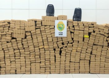 Marginal é preso com meia tonelada de maconha após tentar jogar viatura da ROTAM pra fora da pista, em Curitiba