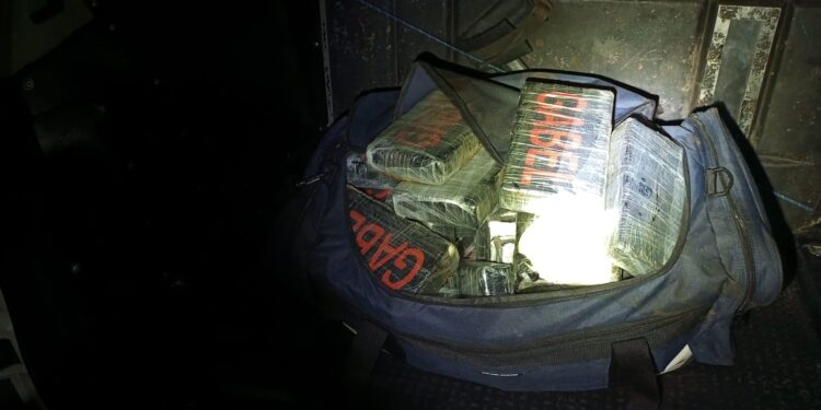 Polícia Militar apreende 475 quilos de drogas em Paranaguá, maior apreensão do ano no Litoral