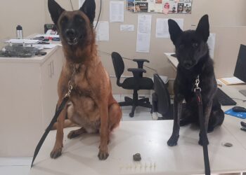 Três pessoas são presas durante operação conjunta