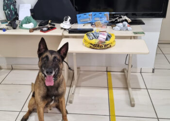 PCPR prende em flagrante três pessoas por tráfico de drogas