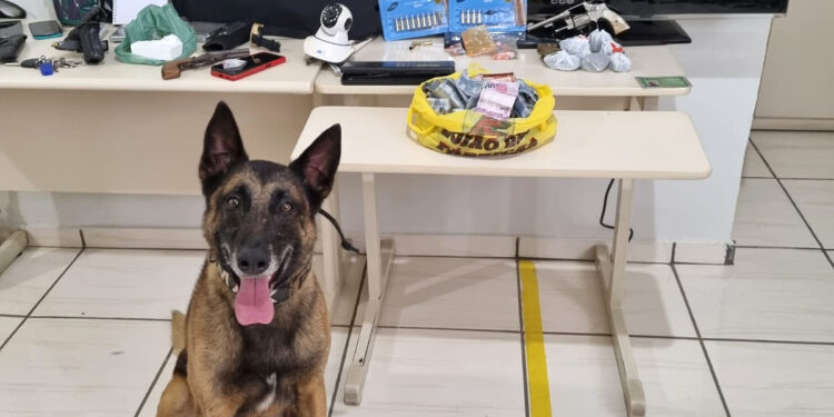 PCPR prende em flagrante três pessoas por tráfico de drogas