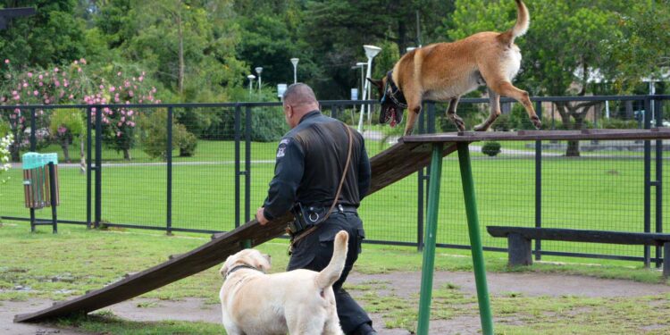 1ª Cãominhada das Forças Policiais vai movimentar São José dos Pinhais no domingo