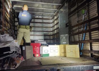 PRF apreende mais de 300 garrafas de vinhos importados irregularmente no Paraná