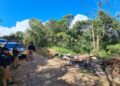 Rapaz sequestrado na RMC é a vítima fatal encontrada em matagal de Colombo