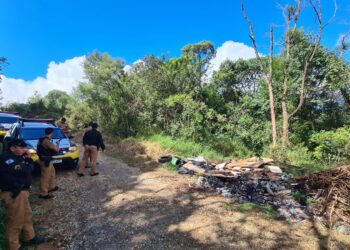 Rapaz sequestrado na RMC é a vítima fatal encontrada em matagal de Colombo