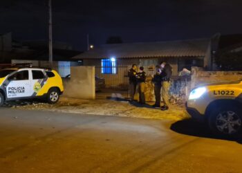Jovem é assassinada de graça e criminosos não poupam nem o cãozinho em Curitiba