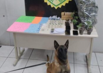 Polícia militar apreende ecstasy que seria vendido em festa rave na RMC