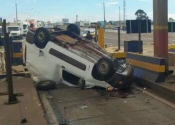 Motorista leva picada de abelha, perde controle de veículo que capota após colisão